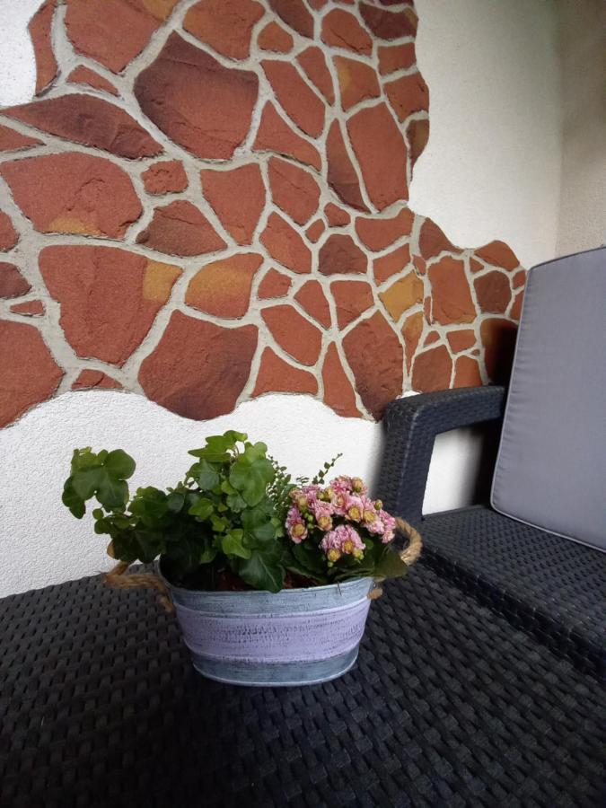 Apartman Erika - Bešeňová Buitenkant foto