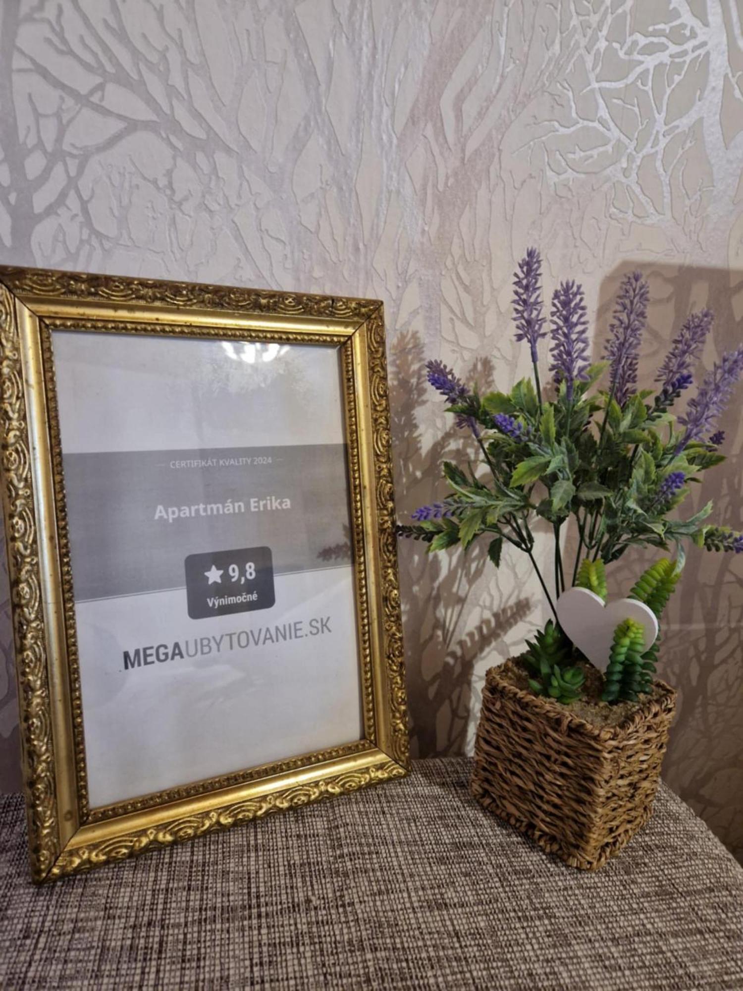 Apartman Erika - Bešeňová Buitenkant foto