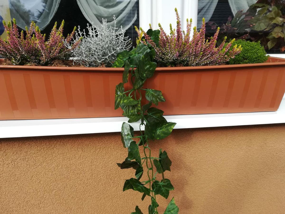 Apartman Erika - Bešeňová Buitenkant foto