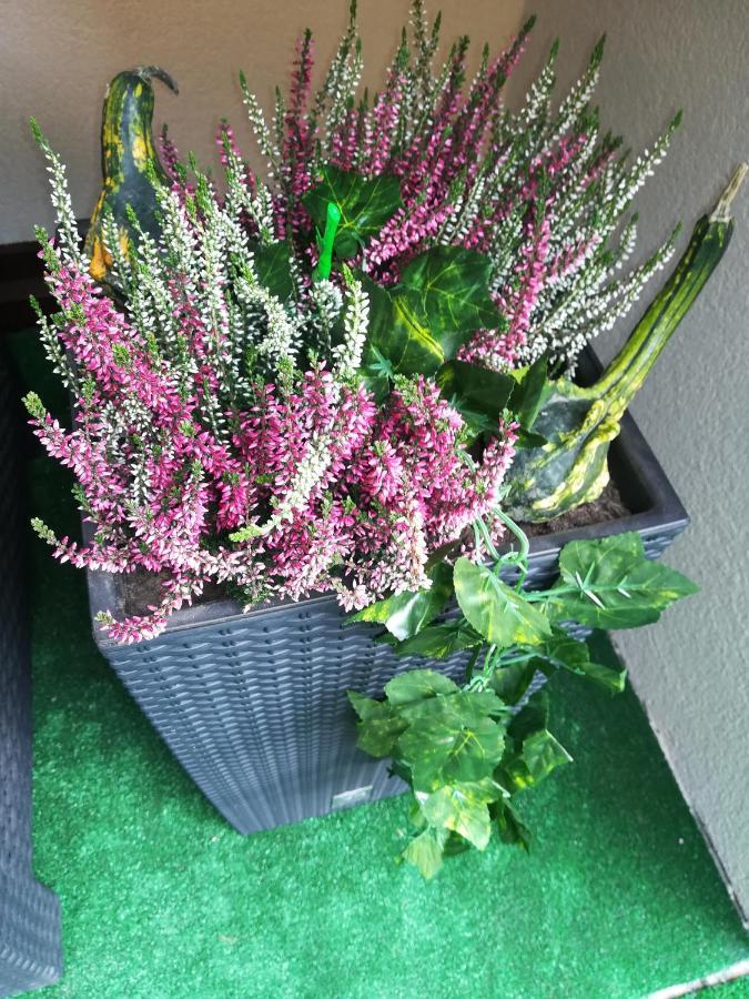 Apartman Erika - Bešeňová Buitenkant foto